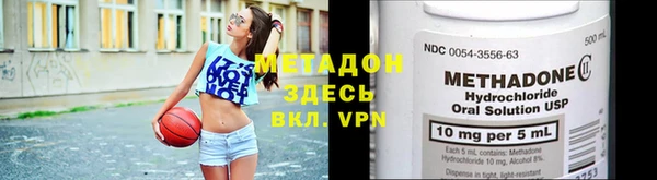 индика Гусев