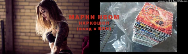 индика Гусев