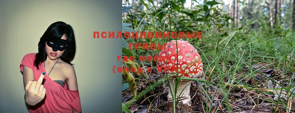 кокс Гусиноозёрск