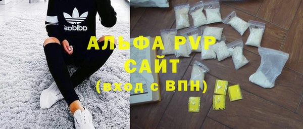 индика Гусев