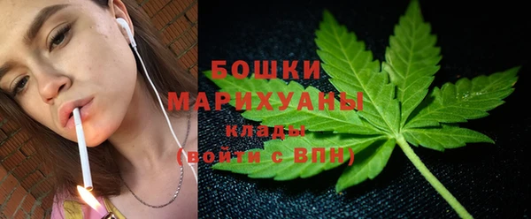 индика Гусев