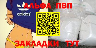 гашик Тара